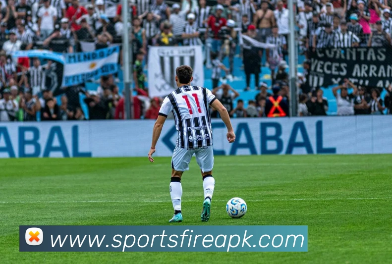 球赛投注平台生态图